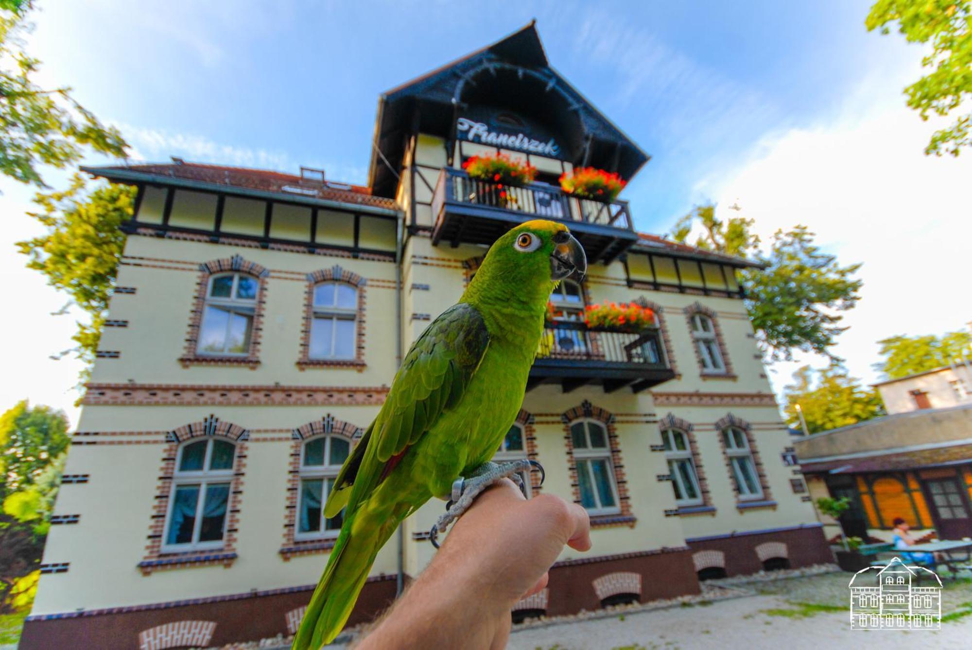 Franciszek Przy Parku Szwedzkim Apartment Szczawno-Zdroj Exterior photo